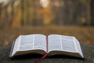 bible page on gray concrete surface
